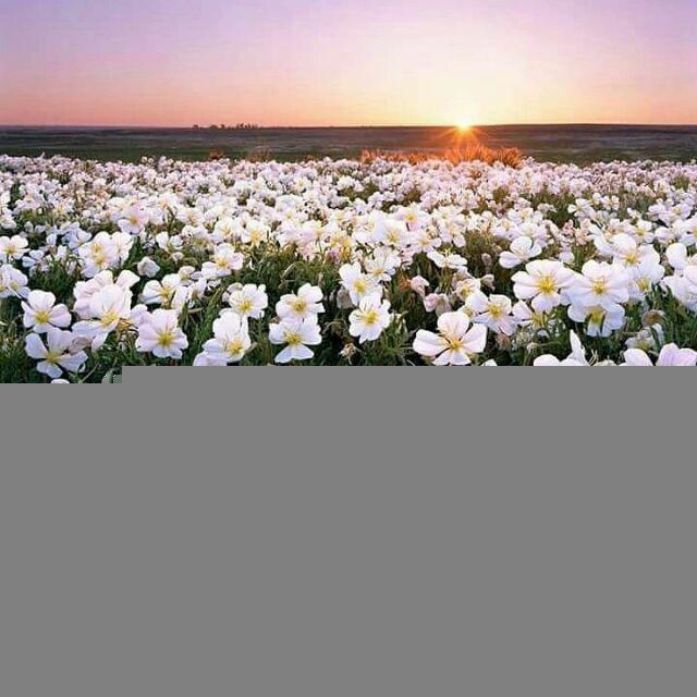همه چیز خوب