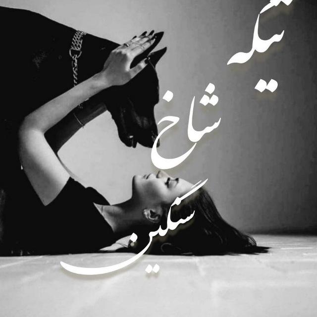 تیکه شاخ سنگین