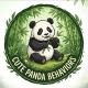 Cute Panda Behaviors
