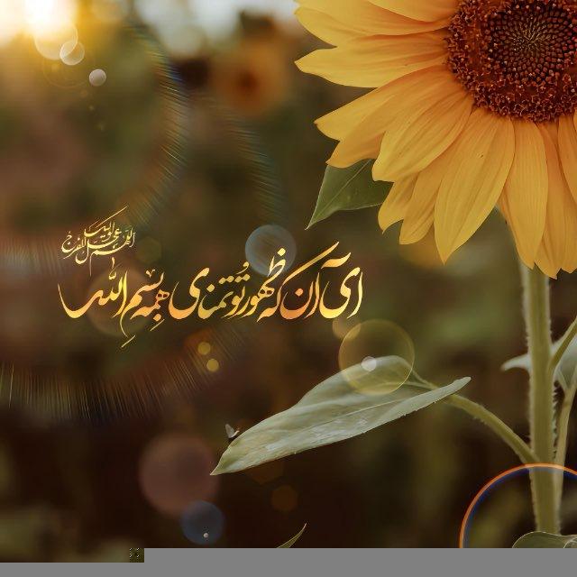 خورشید تابان🌤️