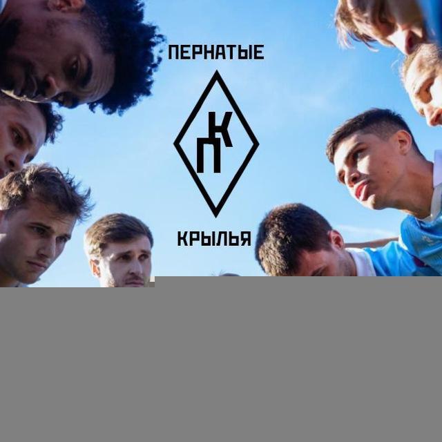 ПЕРНАТЫЕ КРЫЛЬЯ 💚🤍💙