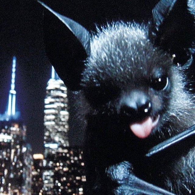 𝐝𝐢𝐬𝐡𝐤𝐚 🦇