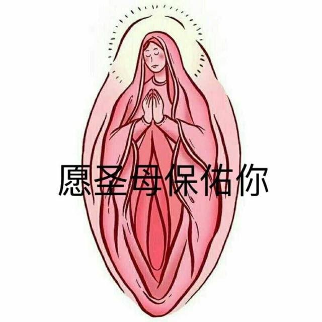 素材🎀优质分享💖
