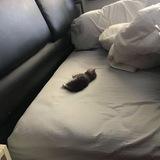 ㅤㅤ
