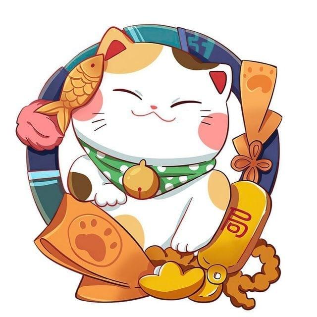 招财猫|一手机房|工作室