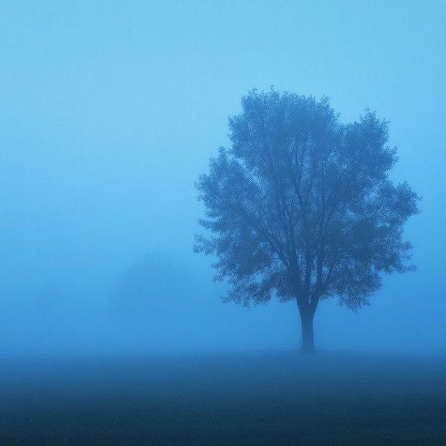 𝟭𝟳