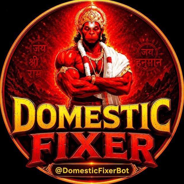 DOMESTIC FIXER ⚡💸