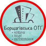 БОРЩАГІВСЬКА ОТГ. Коротко про головне