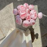 يقينِّية 🌸