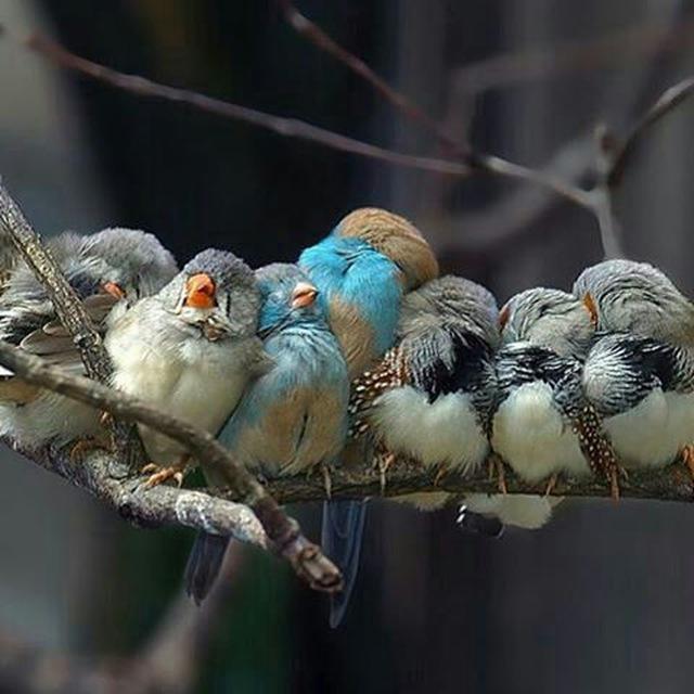 ◦•●◉✿جالبی جات✿◉●•◦