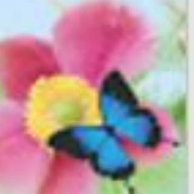 樓上骨 🦋蝴蝶谷🦋 預約5535 5103