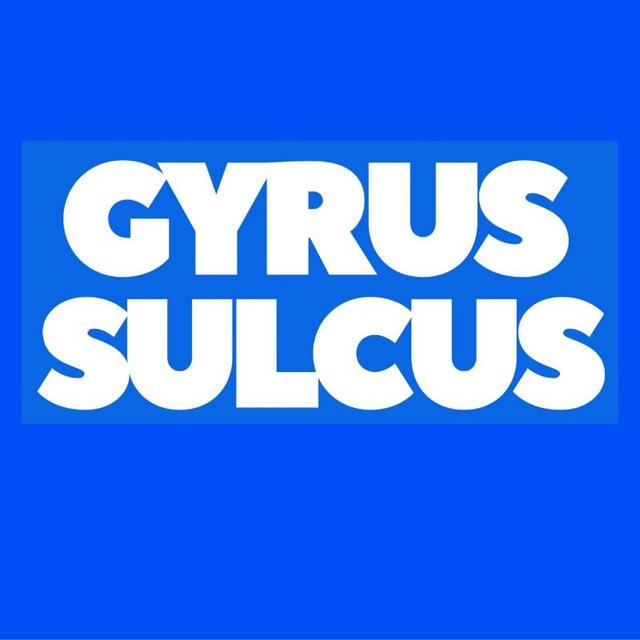 Gyrus Sulcus