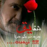 🥀دشت شقایقها 🥀