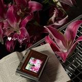 ﮼سكُون،أسمَاء،🤍.