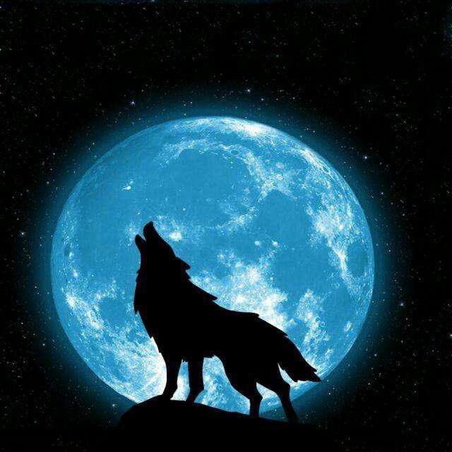 BTC比特币Lone wolf 社区