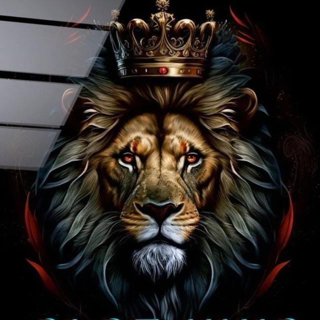 SLOT KİNG OF DUYURU 👑