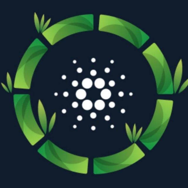 Channel Cardano ECO Talk | TreViet