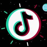 TikTokIn — Загрузчик видео с ТикТок