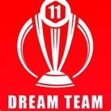 Fantasy Cricket Teams 🏏