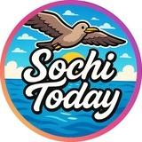 Sochi Today 🌀