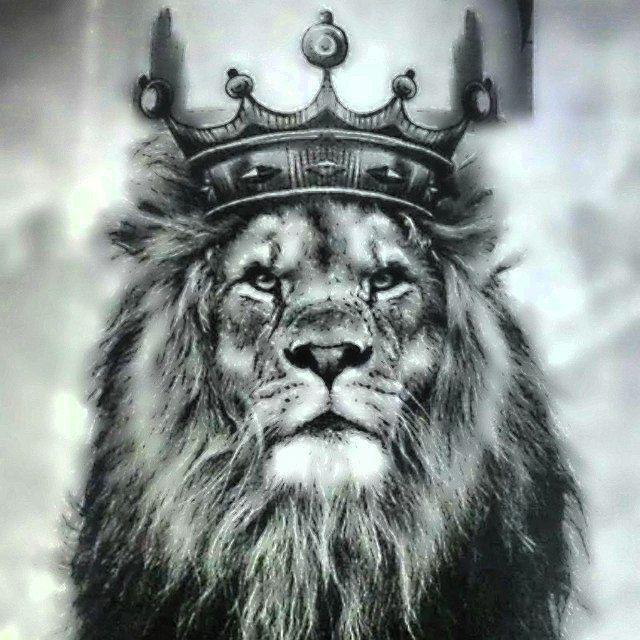 آرشیو رکس‌پکیچ