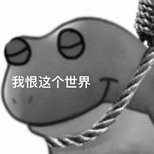 九狐的碎碎念