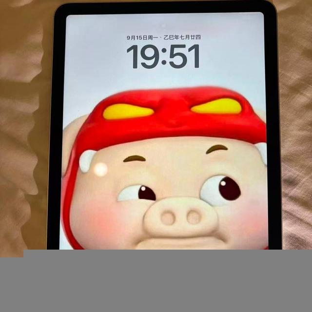 东南亚 金三角 特区 二手交易