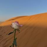 ‎الصحوة