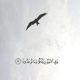 مرفأ الخير 🌱