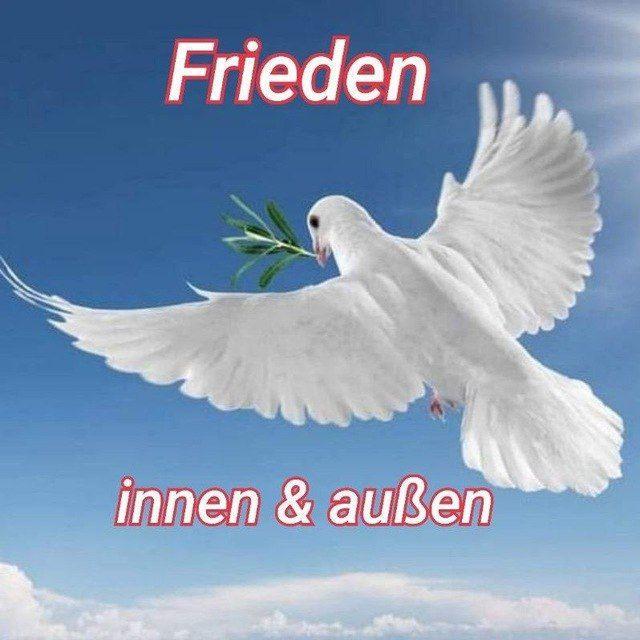 Der friedvolle Krieger ( nach Dan Millman ) der "Feind-Sender" von Olaf Kastner - das Original 🙏