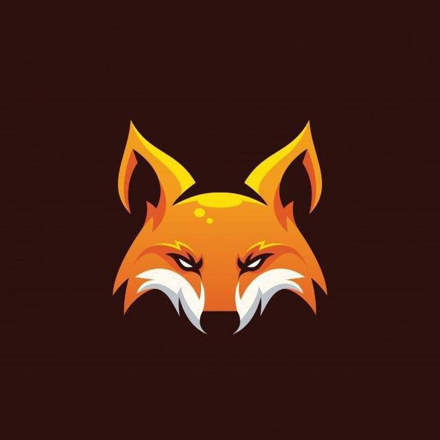 Fox Set-up