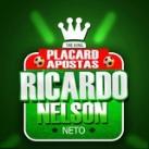 The King of Placard Ricardo Nelson 🍀🇵🇹