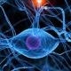 Bio resonantie & magnetische therapie