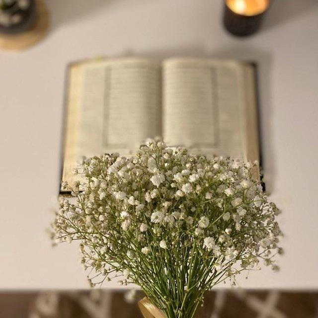 افتارات دينية 🌱.