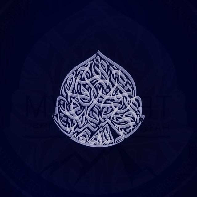 نور الإسلام