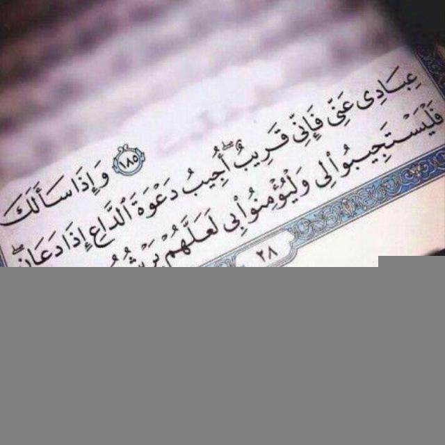 إلى اللّـہ 🤍🌿