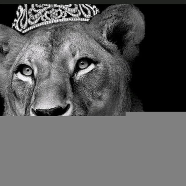 ( عبارات قصف بنات )