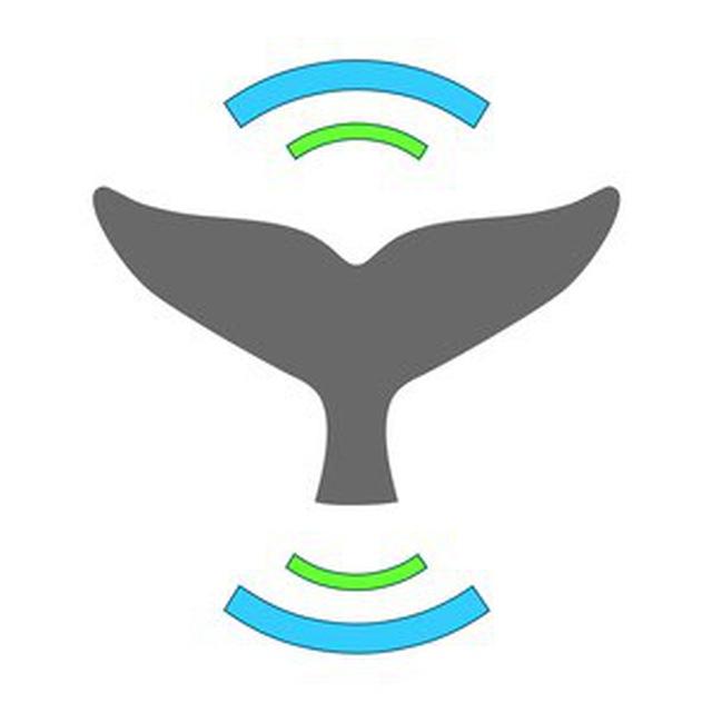 Whale alert 2.0