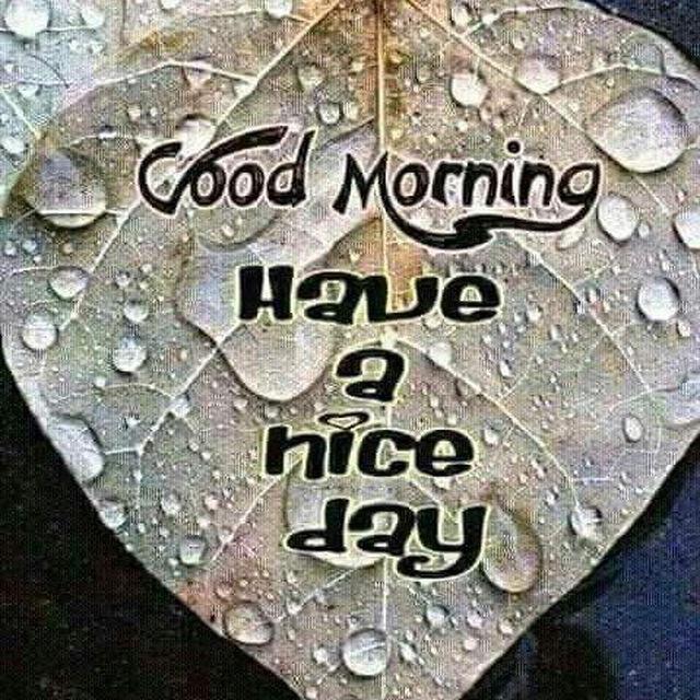 Chat Café wakker Nederland
