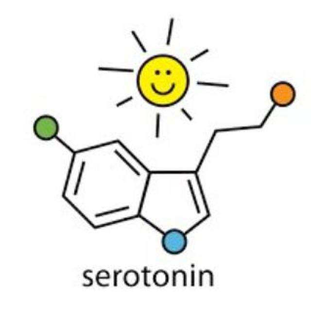 Serotonin Stage