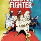Rooster Fighter