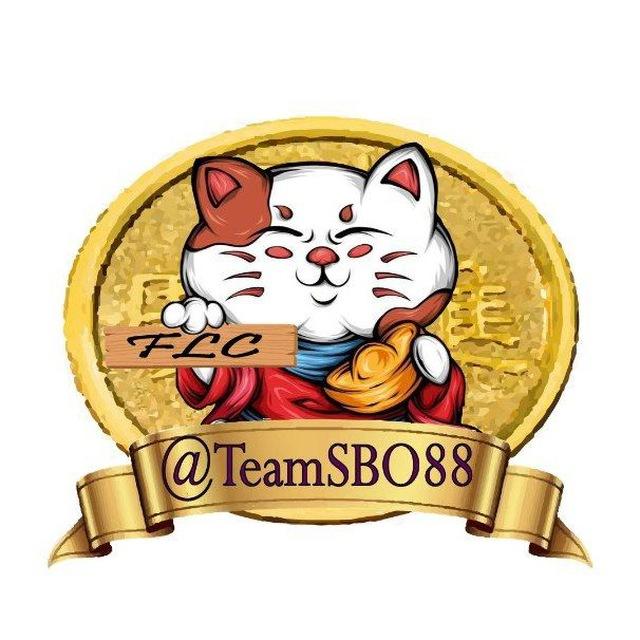 TeamSbo88 Winrate Update 🎮