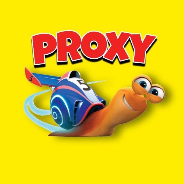 Proxy & Config