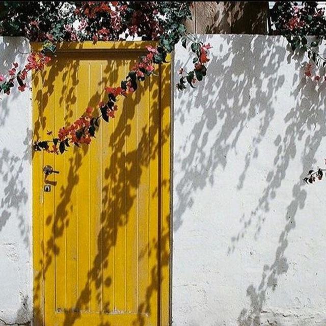 غيِمة راحَهـ 🤍🍃'