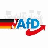 AfD Brennpunkt