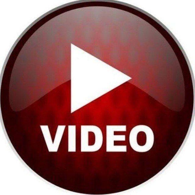 VIRALES VIDEOS