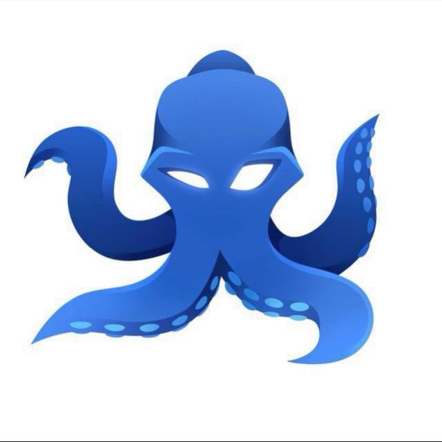 OCTOBITS Reviews