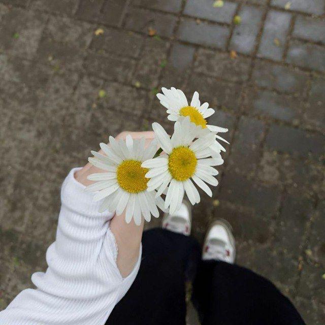𝑑𝑒𝑐𝑒𝑚𝑏𝑒𝑟 ‌♡⁩.