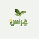 غراس فوريست 🌱