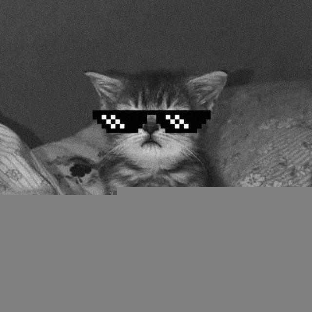 iLtunes